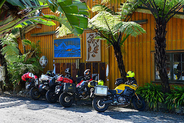 Motorräder stehen im Schatten unter Riesenfarnen in Neuseeland