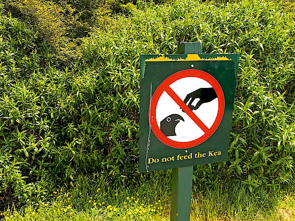 Ein Schild in Neuseeland, das davor warnt Kiwis zu füttern