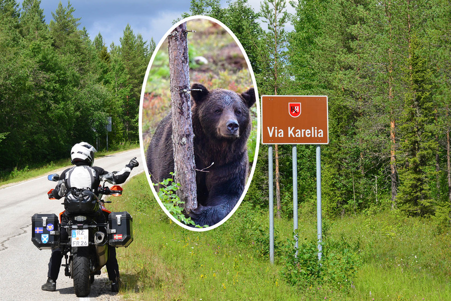 Ein Besuch bei Bären ist auf dieser Tour inklusive